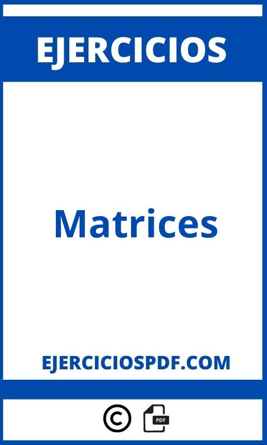 Ejercicios De Matrices Resueltos Pdf